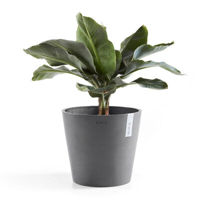 Ecopots Amsterdam grå 40 cm Ecopots Amsterdam grå 40 cm